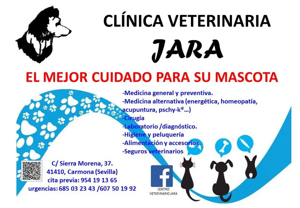 CENTRO VETERINARIO,JARA