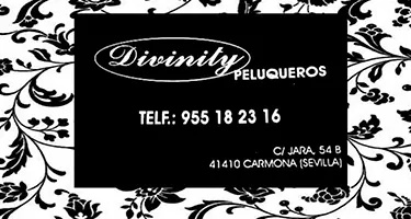 Divinity peluqueros